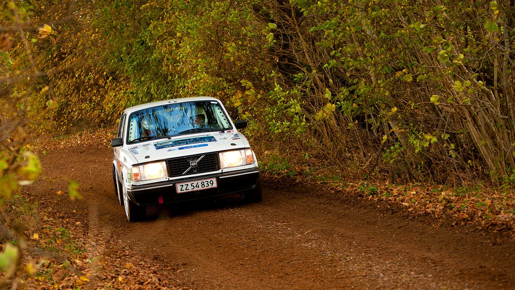 Kurt Mejer og Steen Bøgelund på Rally Sønderjyllands eneste grusstykke ved Hoptrup nord for Aabenraa
(Foto: rallypics.dk – Viggo Johansen)